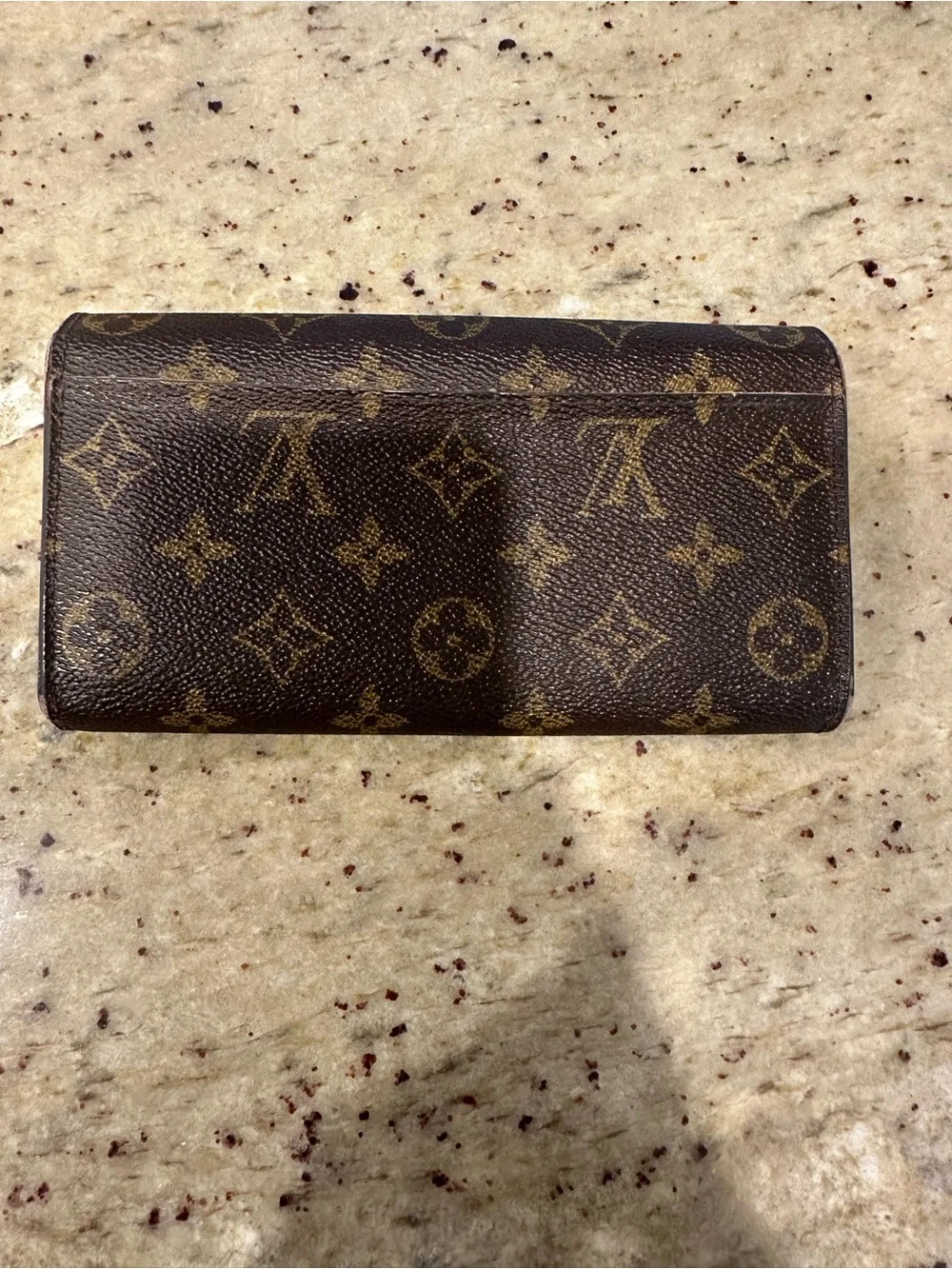 Louis Vuitton classic louis
